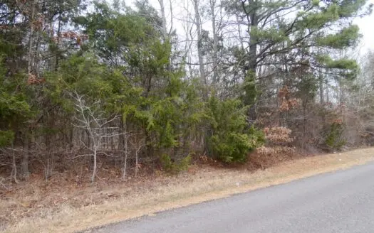 9 Wooded Acres Winnsboro, Texas Wood County No Restrictions