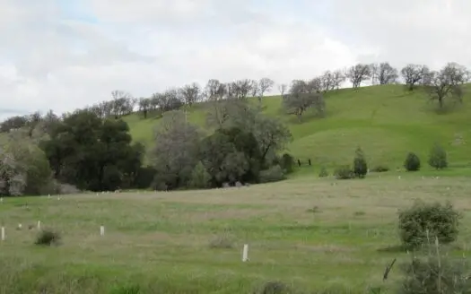 Northern California Country Acreage for Sale