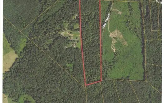 Wooded Acreage in Culpeper, Va