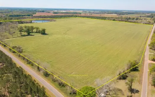 157+/- Acres & Farm House for Sale Hartford, Al