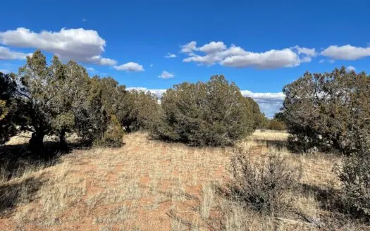 40 Acre Recreational Property – Great Hunting Area