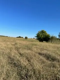 Ranch, Pasture, Hunting and Recreational Land for Sale