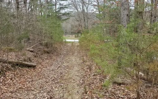 Hunting & Recreational Land for Sale in Kentucky