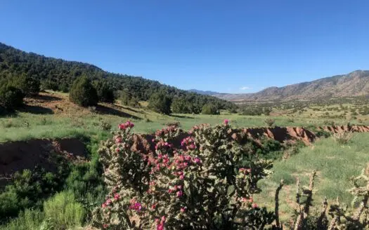 66 Acres Bordering Blm on County Road Canon City Colorado