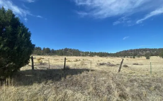 20 Acres for Sale in Modoc County!