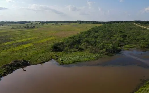 Texas Land for Sale Ranch Hunting Clay County Property