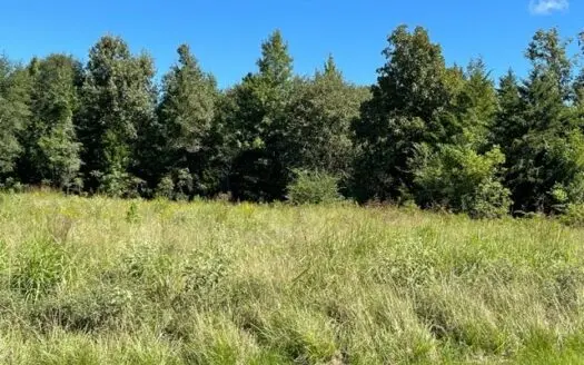 Land with Mixed Timberland for Sale in Naples, Tx!