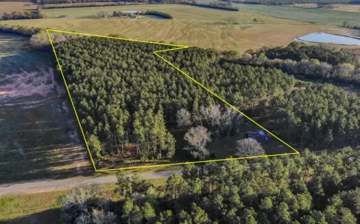 18.5 +/- Acres for Sale Hartford, Al