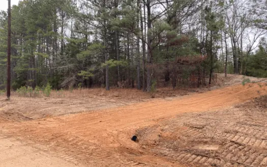 Hunting Land in East Texas for Sale