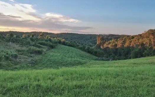 Acreage Near the Buffalo River