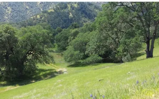 Napa County Recreation & Hunting Properties for Sale