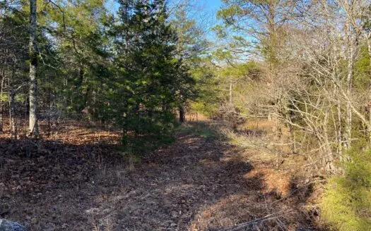 Hunting Land in North Arkansas for Sale Deer Turkey Woods