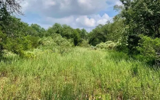 Land for Sale in Atascosa County