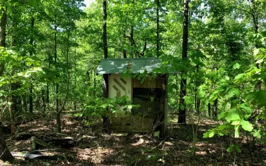 29 Acres Near Bull Shoals Lake