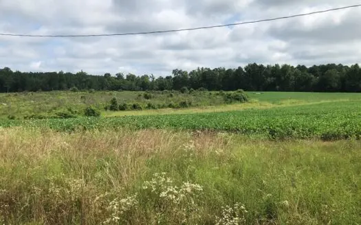Set Up a Base Camp in Southern Va