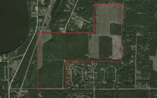 203+ Acre Timberland Hunting Tract Located in Adams County