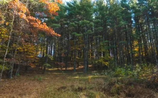 Small Wooded Lot for Sale in Floyd County Va
