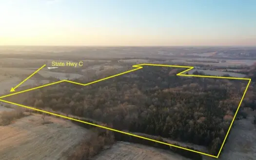 For Sale 43 Acre Hunting Paradise