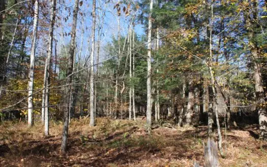Land for Sale in Roscoe, Ny   ‘trout Town Usa”