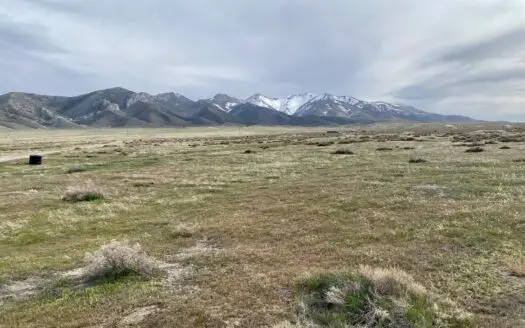 Land for Sale Imlay, Nv