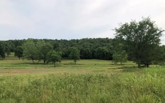 Land for Sale-cattle Farm-hunting