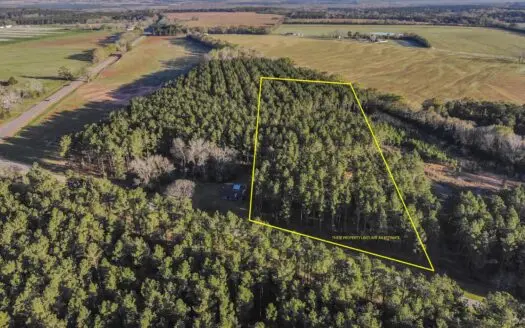 6.5 +/- Acres for Sale Hartford, Al