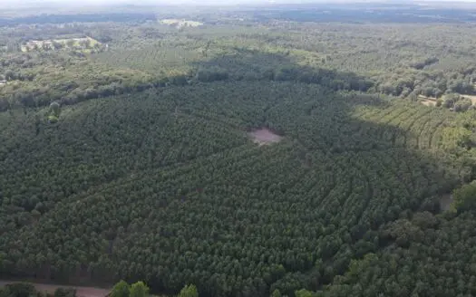 Timberland in East Texas