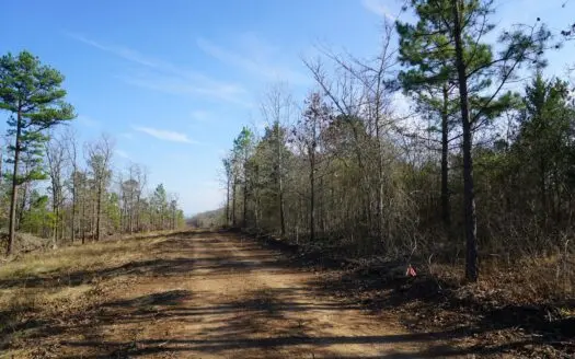 Southeastern Oklahoma Cabin Site Near National Forest
