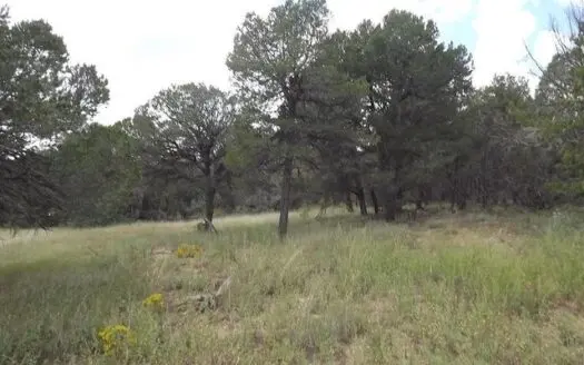 Central New Mexico 20 Acres Remote, Private, Beautiful Land