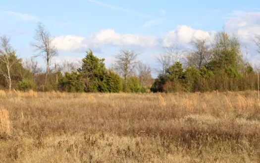 Beautiful East Texas Land for Sale in Van Zandt County