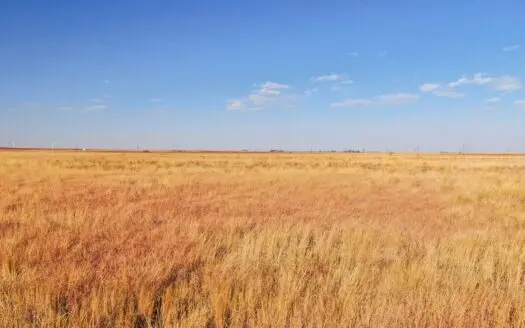 Conservation Reserve Tract W/ Paved Frontage in Lamb County