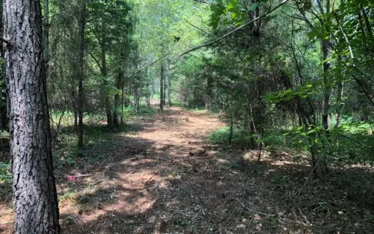 East Tennessee View Acreage for Sale