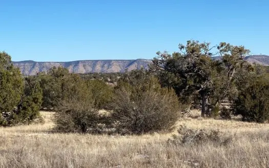 Fully Fenced off Grid 5 Acres for Sale