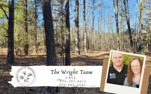 Vacant Land in Izard County Arkansas for Sale