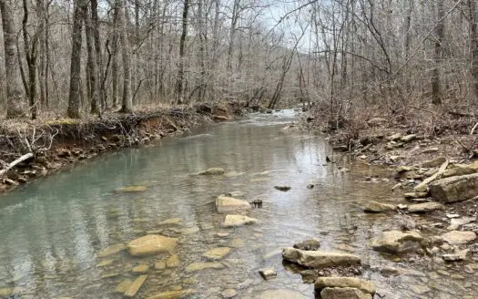 Hunting & Recreational Land for Sale in Ozarks Of Arkansas
