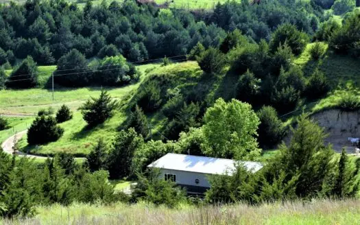 Taste Of Heaven Cattle & Hunting Ranch