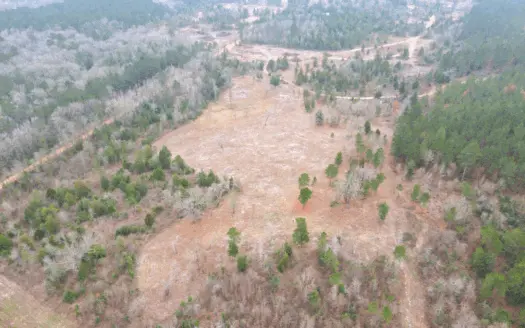 Land for Sale in Cass County, Tx