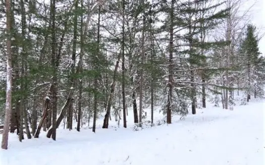 Canada Creek Ranch Lots for Sale Atlanta Mi