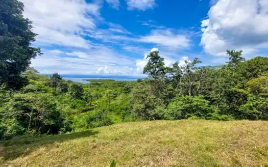 Titled Bocas Del Toro Coastal Land 11.5 Acres