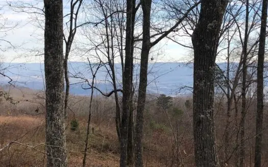 East Tennessee Recreational Mountain Property for Sale