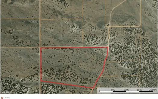 Over 73 Acres Of Beautiful Treed Usable Land