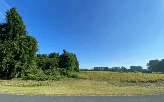 Beaufort County Nc Farmland/ Timberland for Sale