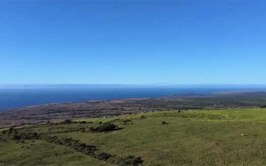 Big Island Hawaii Land with Oceanviews in Coffee Belt