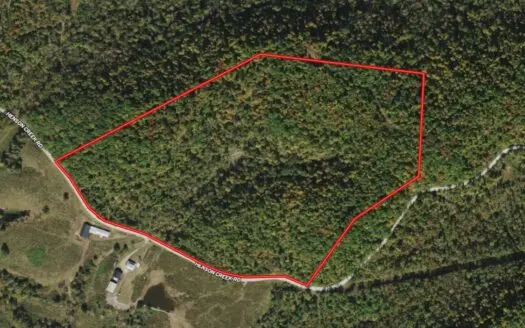 Hunting Land for Sale in Liberty Ky