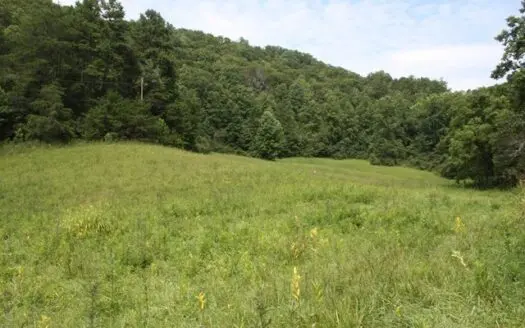 Large Hunting and Recreational Tract in Dungannon Va