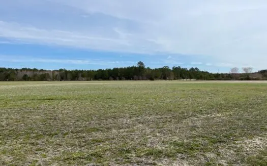 Washington County Nc Farmland/timberland for Sale