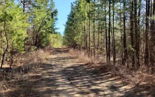 40 Acre Poteau Mountain Recreational Property