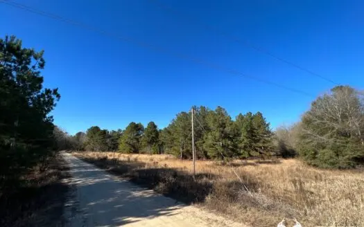 Barnwell Hunting/timber/homesite Land