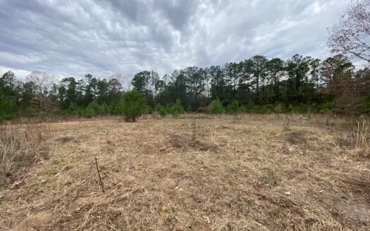 Country Land for Sale De Berry, Tx and Elysian Fields Isd