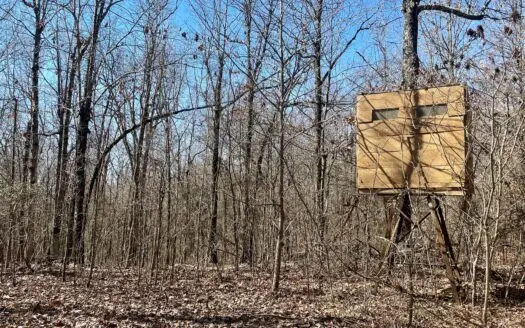 Hunting Land with Cabin for Sale in Arkansas